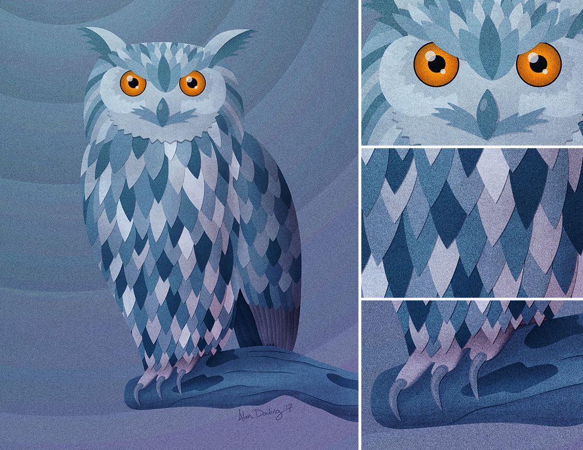 The Owl Stares